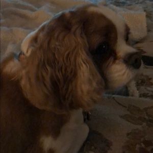 Meet your Posher, Cari